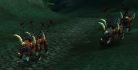 Fel Stalker