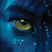 Eye
