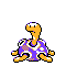 Shuckle cristal variocolor
