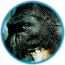 Icon-Drachen.png