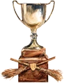 Quidditch Trophy.gif
