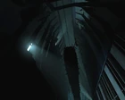 D3 citadel 020005