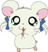 Bijou2.gif