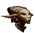 Bimm head.jpg