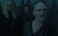Malfoysvoldemort