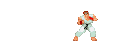 RyuSpecial.gif