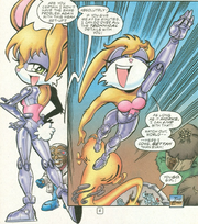 Bunnie upgrade01