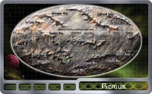 Remus2