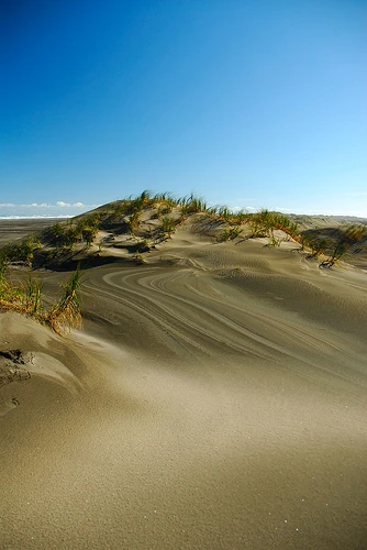 Wind stripes on Whatipu beach.jpg