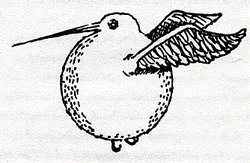 Vivet