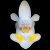 Phalaenopsis thailandica thumb.jpg