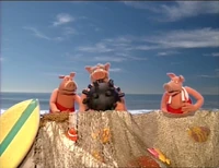 BayPigswatch105