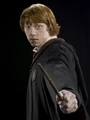 PromoHP6 Ron Weasley.jpg