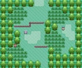 Ruby-Sapphire Route 101.png