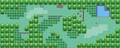 Route 102.png