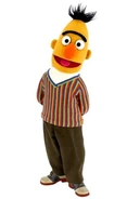 BertFullFigure