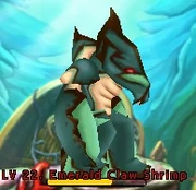 Emerald Claw Shrimp