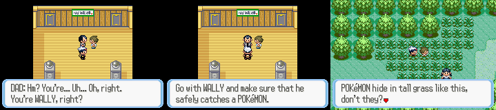 Ruby-Sapphire Petalburg City 3