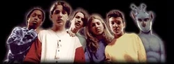 Animorphs BookModels