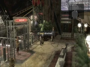 Seed 84