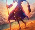 Netherwind Pants TCG