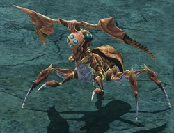 GrandSpider