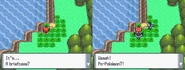 Diamond-Pearl Lake Verity 2