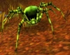 Deepmoss Hatchling