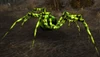 Darkmist Spider