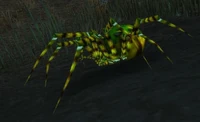 Darkmist Recluse