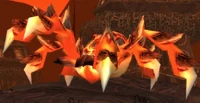Image of Greater Lava Spider
