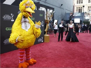 Bigbirdredcarpetemmy