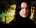 Severus-Snape-.jpg