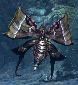 Nymphalidae