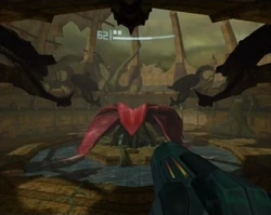 Sunchamber