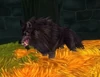 Wolfguard Worg