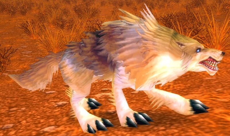 File:Coyote.jpg