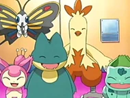 EP396 Pokémon de May