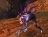 Vile Fin Minor Oracle