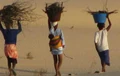 Natuur.koepel vzw SenegalBelgium.jpg
