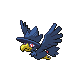 Murkrow HGSS hembra