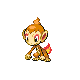 Chimchar HGSS