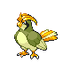 Pidgeotto HGSS variocolor