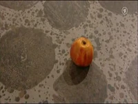Folge2500-1