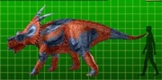Achelousaurus