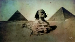 Sphynx