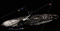 Enterprise J.jpg