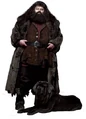 PromoHP2 Rubeus Hagrid Crockdur.jpg
