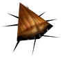 Cockroach transparent