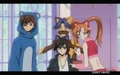 Cats
